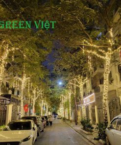 day-led-trang-tri-quan-cay-f5-vang-nang-vn01
