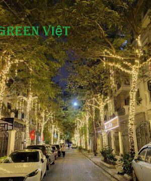 day-led-trang-tri-quan-cay-f5-vang-nang-vn01