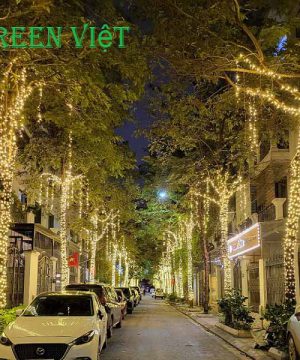 day-led-trang-tri-quan-cay-f5-vang-nang-vn01