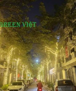 day-led-trang-tri-quan-cay-f5-vang-nang-vn01