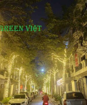 day-led-trang-tri-quan-cay-f5-vang-nang-vn01