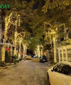 day-led-trang-tri-quan-cay-f5-vang-nang-vn01