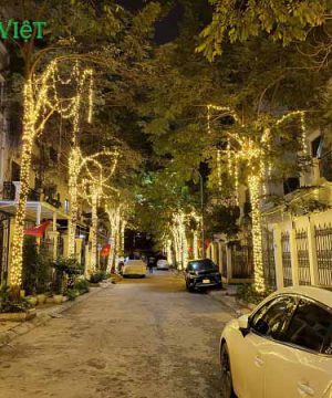 day-led-trang-tri-quan-cay-f5-vang-nang-vn01