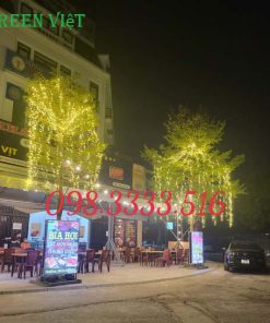 led-trang-tri-cay-f5-lt05a