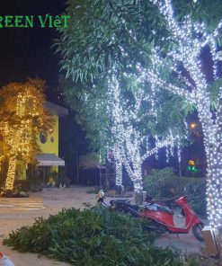 led-trang-tri-cay-f5-lt05a
