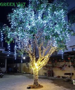 led-trang-tri-cay-f5-lt05a