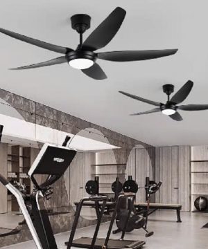 quat-tran-den-phong-khach-qd219