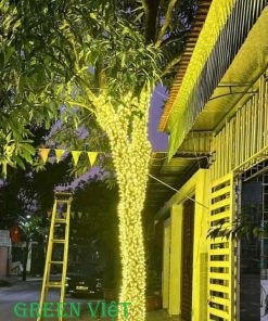 day-den-led-trang-tri-quan-cay-ngoai-troi-f5-lf05