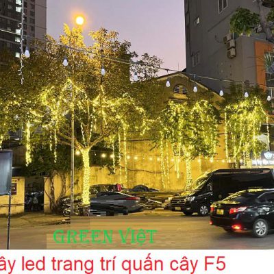 day-led-trang-tri-quan-cay-nhieu-mau-f5-f508