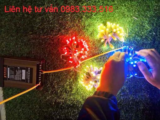 led-trang-tri-quan-ca-phe-nha-hang-mf5