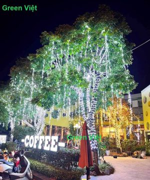 day-led-trang-tri-cay-chong-nuoc-dln05-f5