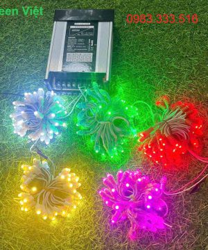 day-led-trang-tri-cay-chong-nuoc-dln05-f5