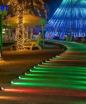 den-roi-hat-trang-tri-cay-nhieu-mau-rgb-10w