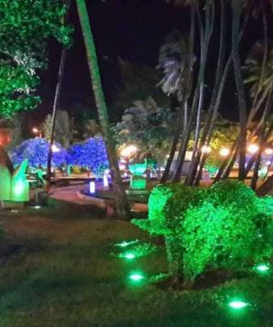 den-led-roi-cay-18w-grp-doi-mau