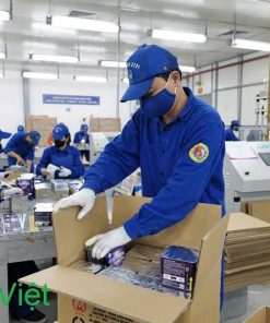 Pháo Hoa Bộ Quốc Phòng Z121