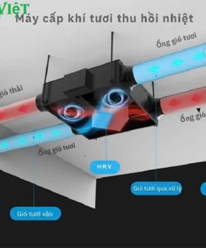 may-cap-gio-tuoi-hai-chieu-cao-cap-cgm02-chong-hat-bui-min