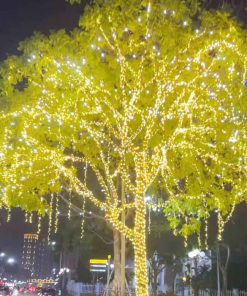 day-led-quan-cay-ngoai-troi-loai-tot-f5-2025