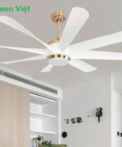 quat-tran-den-cao-cap-qtd21