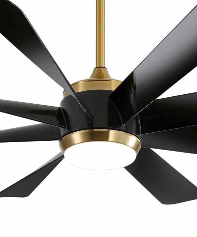 quat-tran-den-cao-cap-qtd21