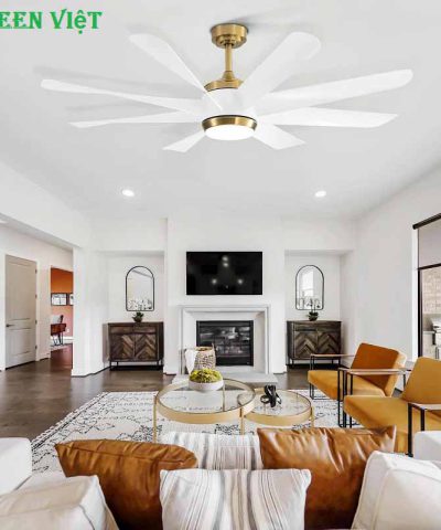 quat-tran-den-cao-cap-qtd21