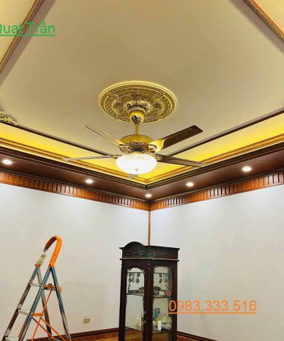 quat-tran-den-qtd67-green-viet