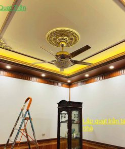 Quạt Trần Đèn 5 Cánh Sắt DQ.CT.107 20 quat-tran-den-qtd67-green-viet