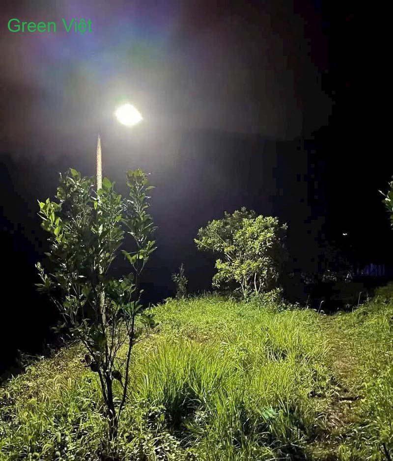 Đèn năng lượng mặt trời Phi Thuyền