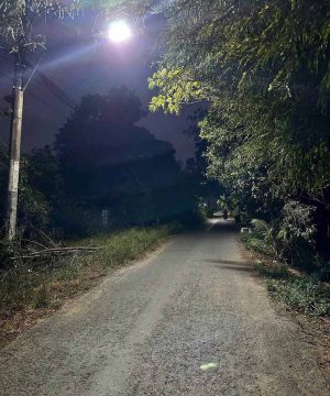 den-nang-luong-mat-troi-ltl-100-100w-cao-cap