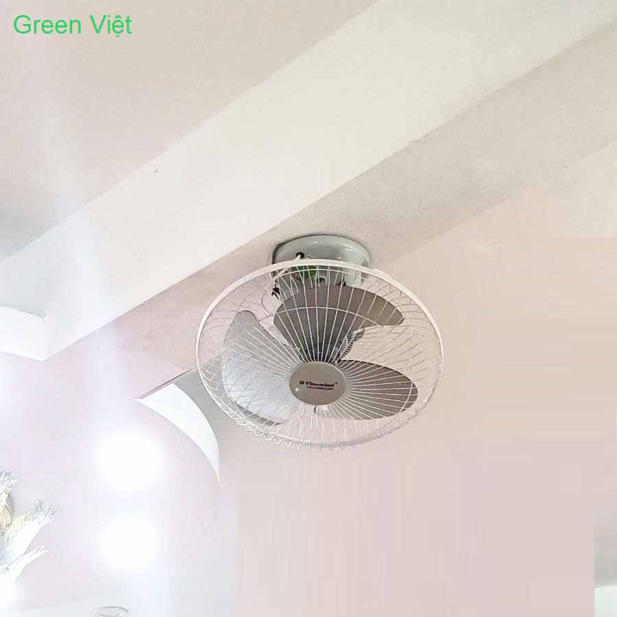 Quạt Đảo Trần