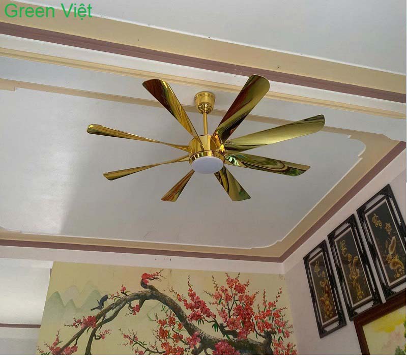 quat-tran-den-cao-cap-qtkp157