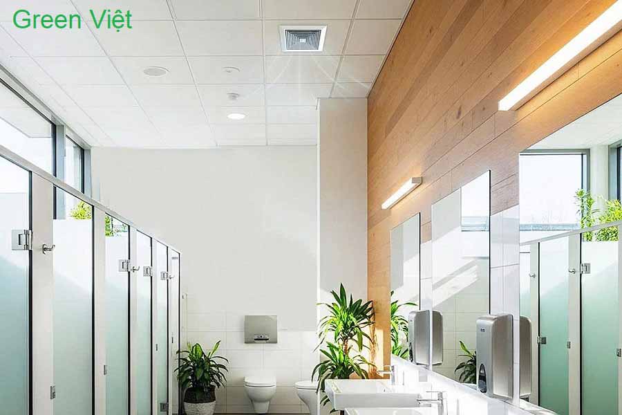 Quạt hút âm trần cổ ngang