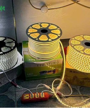 led-day-neon-cuon-100m-green-viet