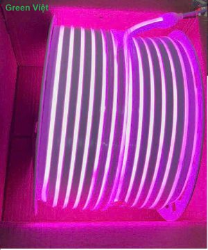 led-day-neon-cuon-100m-green-viet